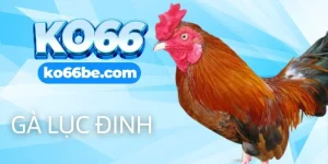 gà lục đinh