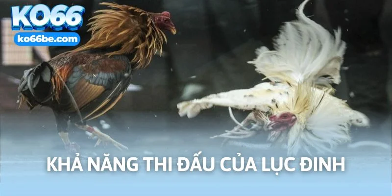 Cập nhật khả năng của lục đinh khi ra sân