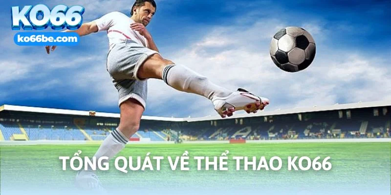 Khái quát thể thao KO66