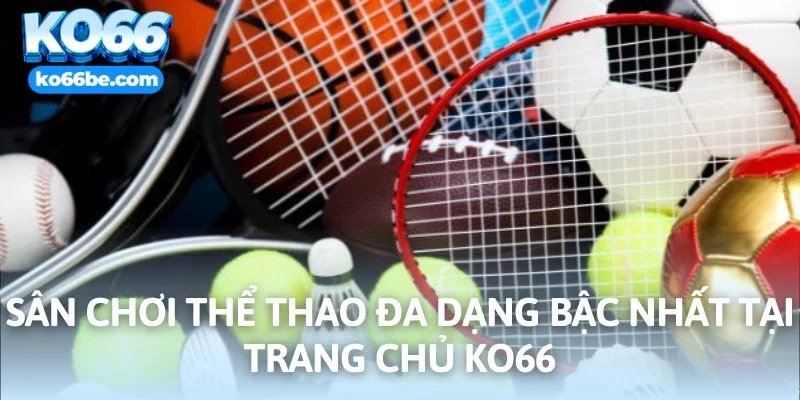 Các loại hình thể thao